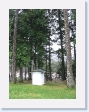 The little house in the forest